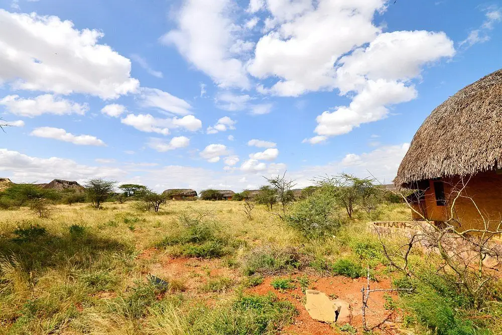 Samburu Sopa Lodge photo 4